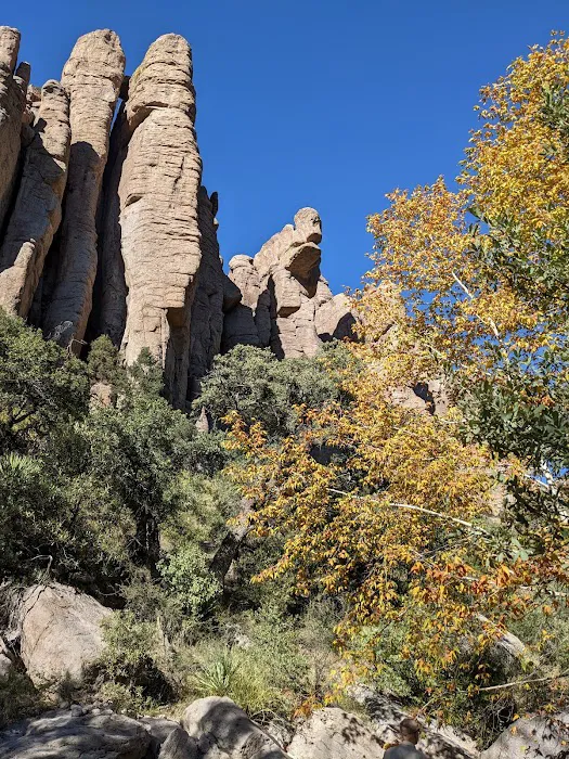 Bonita Canyon Campground Picture 6