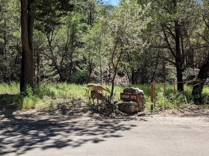 Bonita Canyon Campground Picture 10