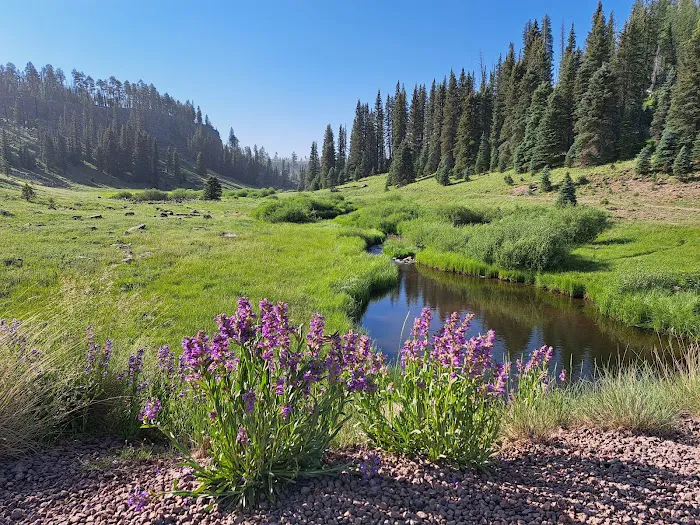 Winn Campground Picture 5