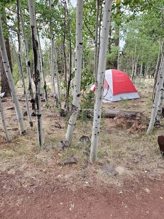 Winn Campground Picture 8