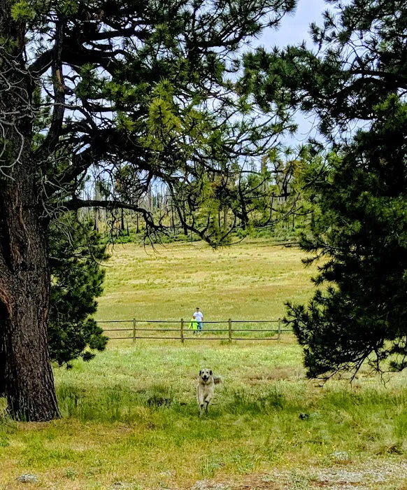 Winn Campground Picture 10