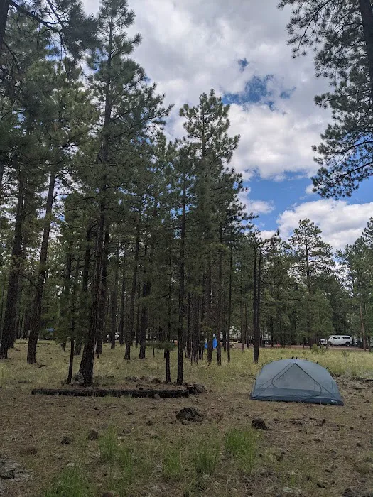Rolfe C. Hoyer Campground Picture 1