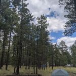 Rolfe C. Hoyer Campground