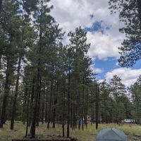Rolfe C. Hoyer Campground ico