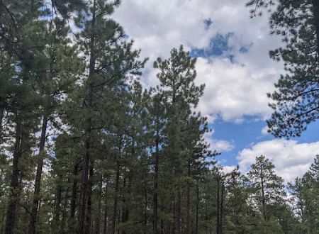 Rolfe C. Hoyer Campground