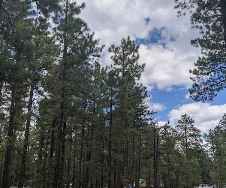 Rolfe C. Hoyer Campground