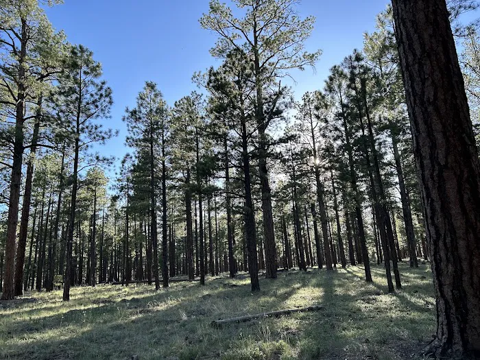 Rolfe C. Hoyer Campground Picture 2