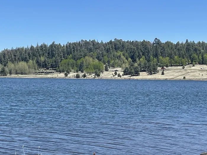 Rolfe C. Hoyer Campground Picture 6