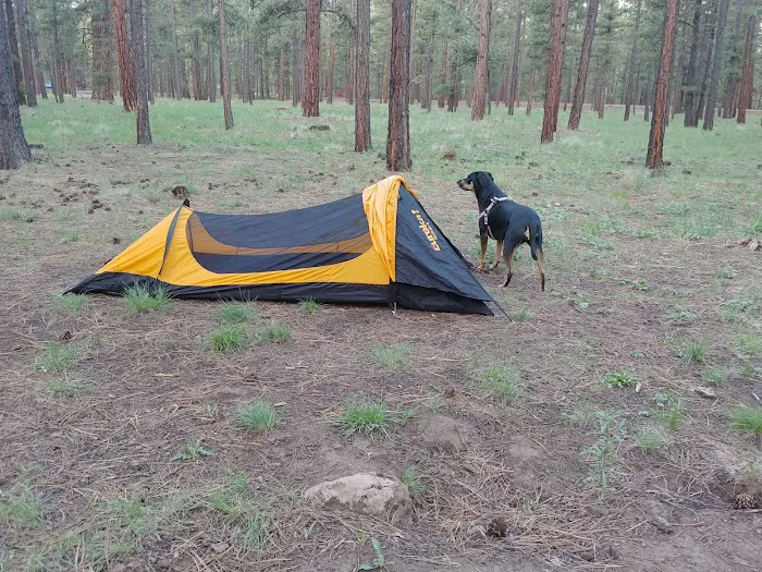 Rolfe C. Hoyer Campground Picture 10