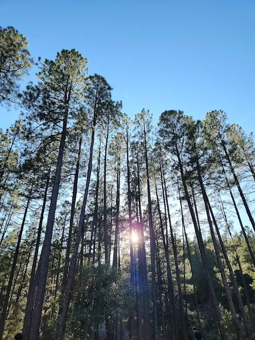 Lower Tonto Creek Campground Picture 1