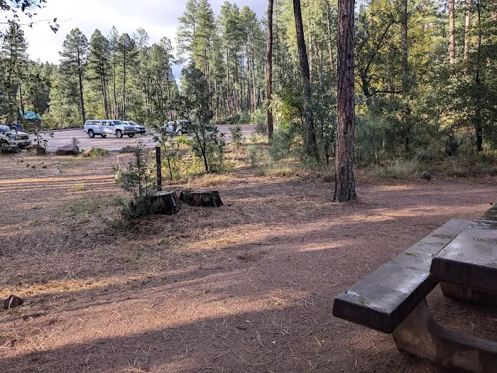 Lower Tonto Creek Campground Picture 2