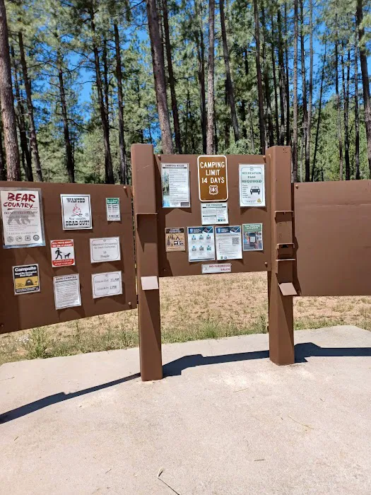 Lower Tonto Creek Campground Picture 4