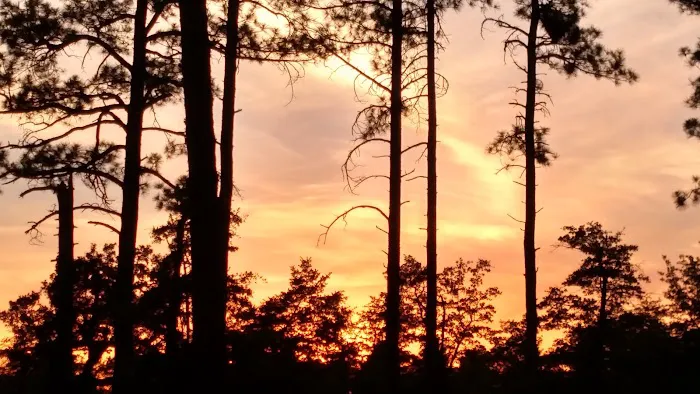 Lower Tonto Creek Campground Picture 6