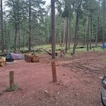Kehl Springs Campground