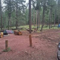 Kehl Springs Campground ico