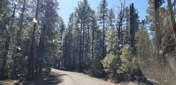 Kehl Springs Campground Picture 8