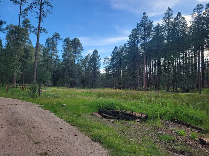 Kehl Springs Campground Picture 10