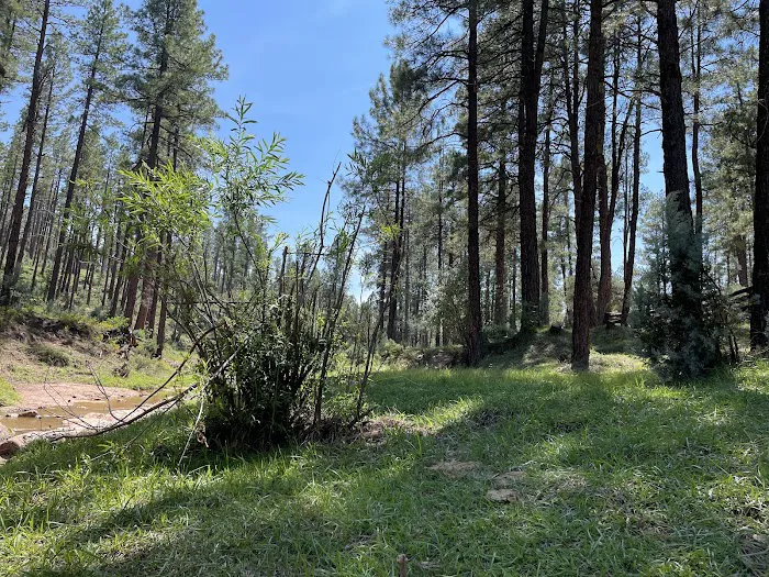 Verde Glen Campground Picture 8