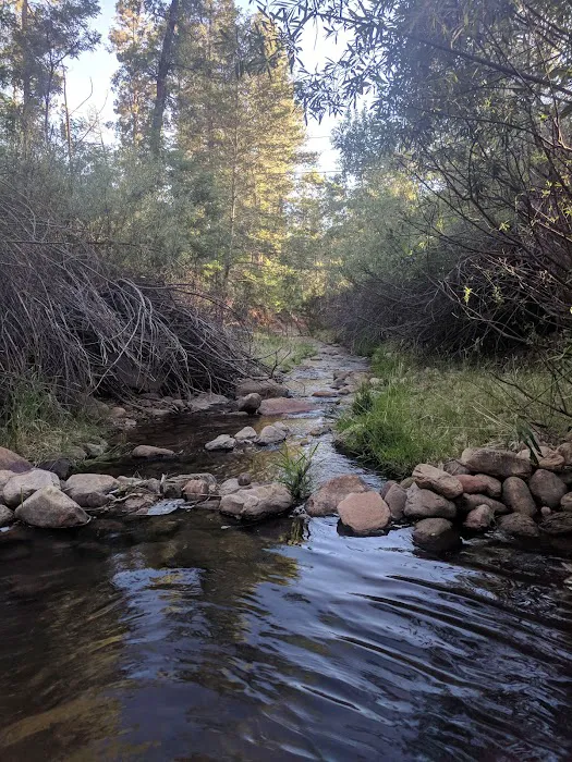 Tonto Rim Christian Camp Picture 10