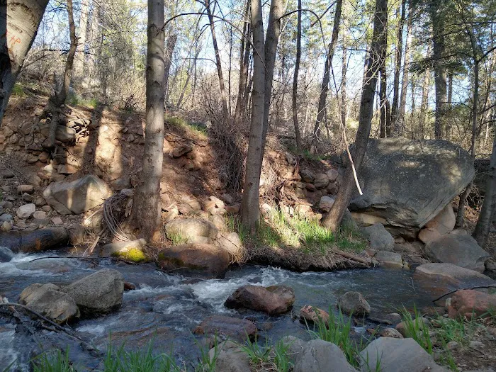 Upper Tonto Creek Campground Picture 3