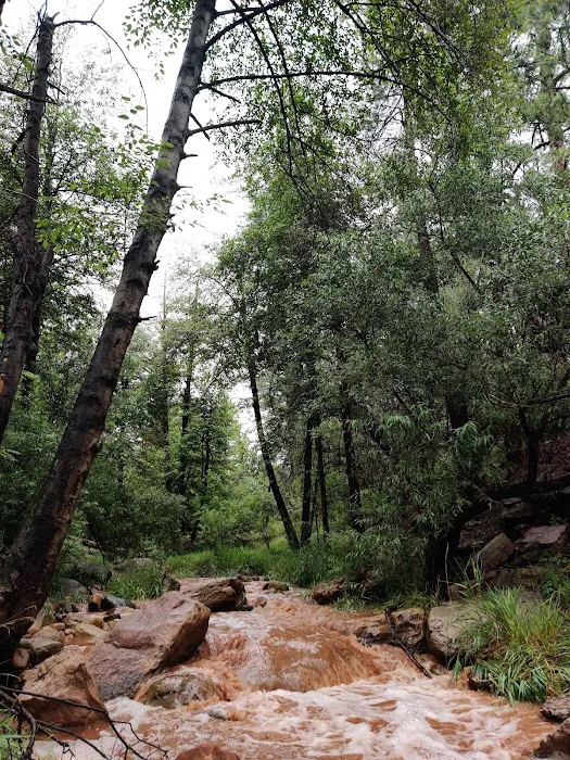 Upper Tonto Creek Campground Picture 5
