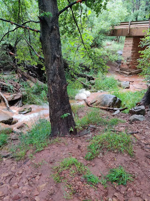 Upper Tonto Creek Campground Picture 7