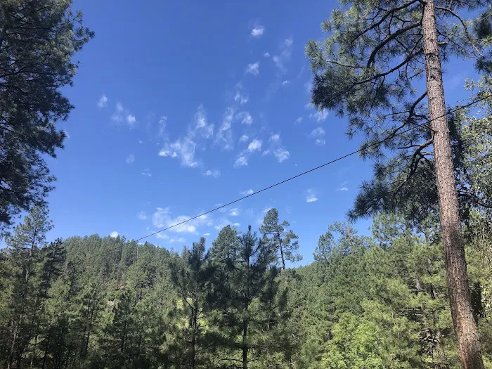 Upper Tonto Creek Campground Picture 8