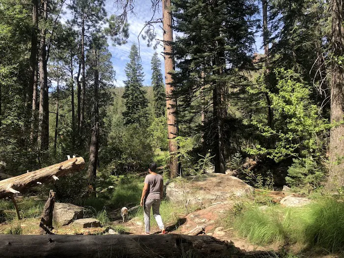Upper Tonto Creek Campground Picture 9