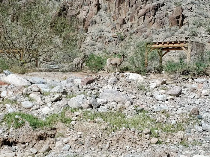 Diamond Creek Beach Picture 7