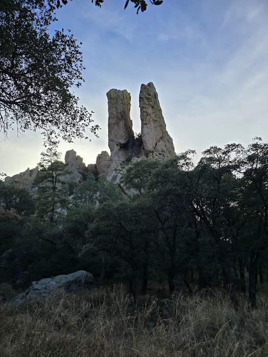 Sunny Flat Campground Picture 6