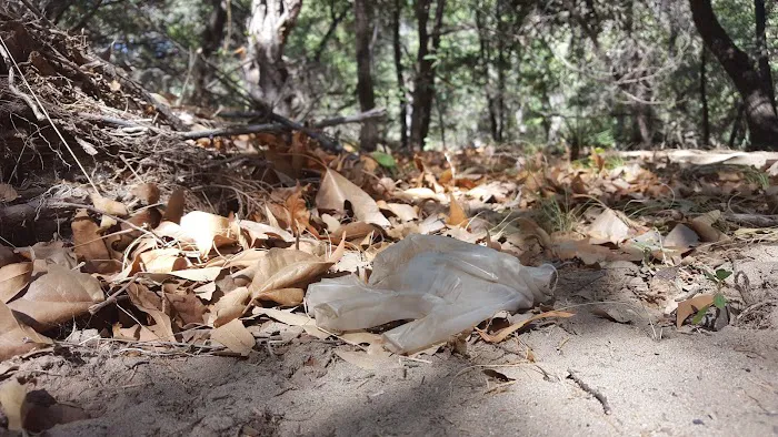 Sunny Flat Campground Picture 5