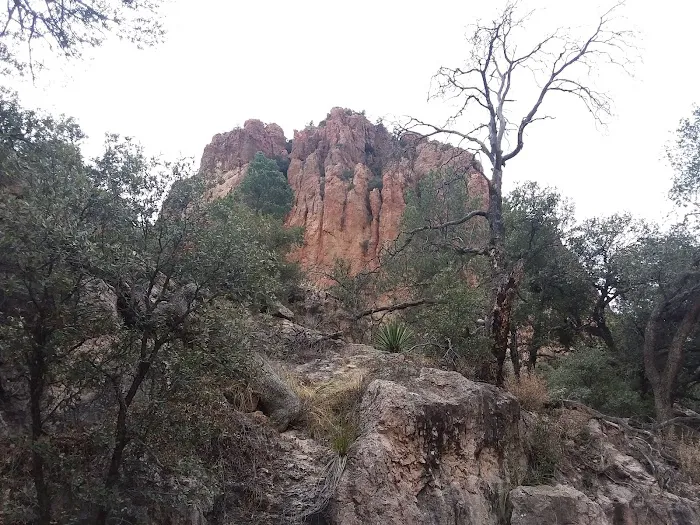 Sunny Flat Campground Picture 10