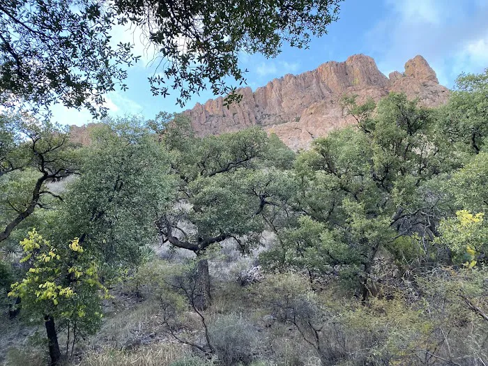 Sunny Flat Campground Picture 7