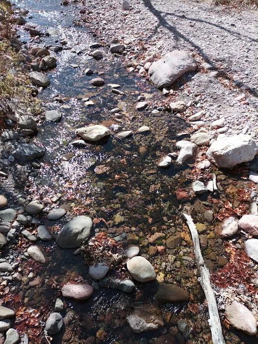 Stewart Campground Picture 5