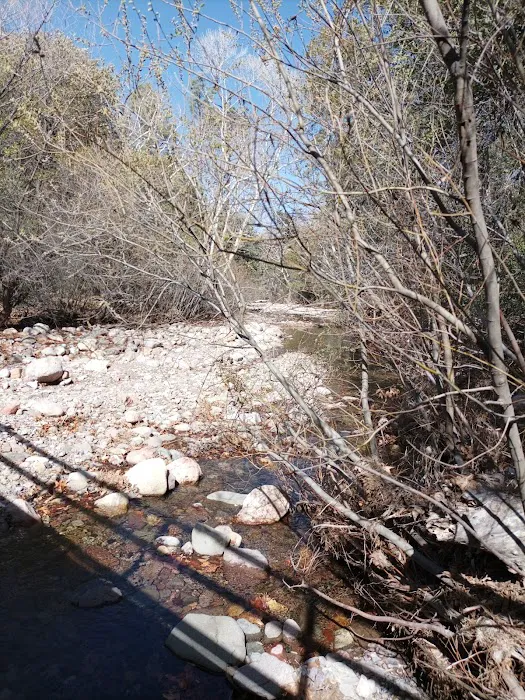 Stewart Campground Picture 10