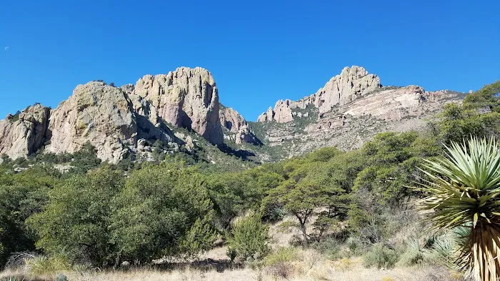 Idlewilde Campground Picture 3