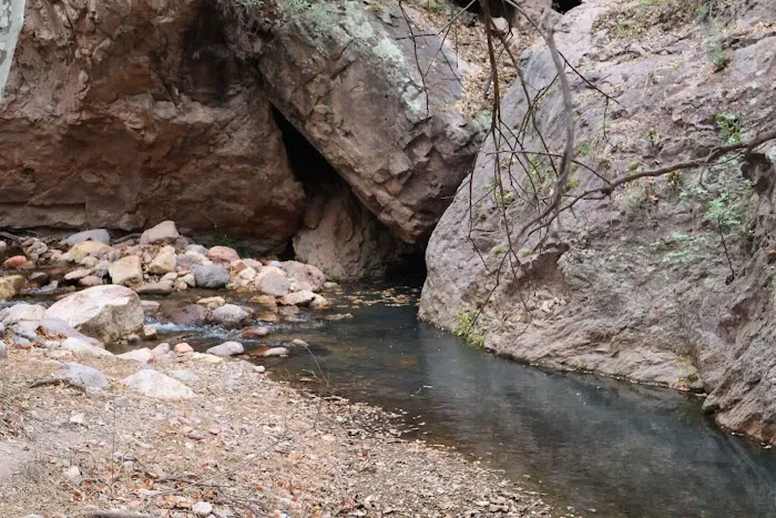 Idlewilde Campground Picture 6