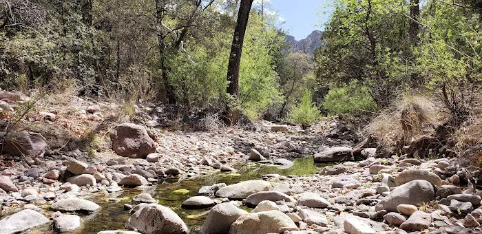 Idlewilde Campground Picture 7