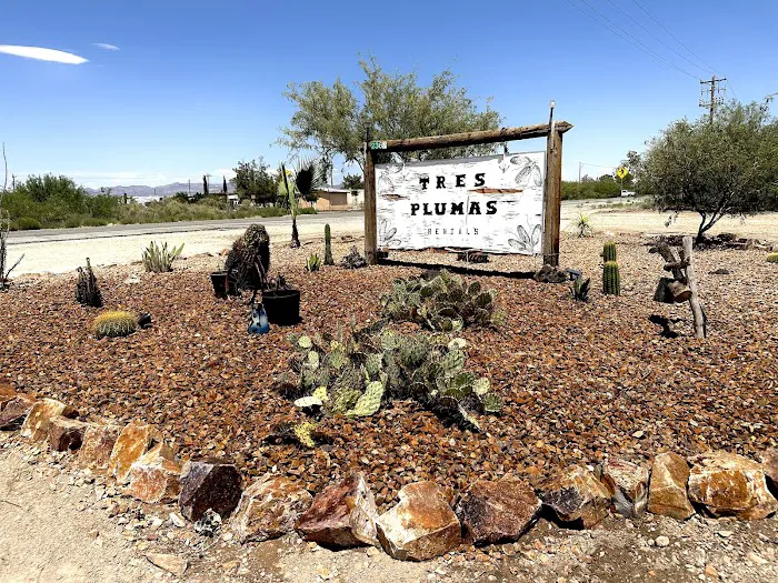 San Simon Rv Park Picture 3