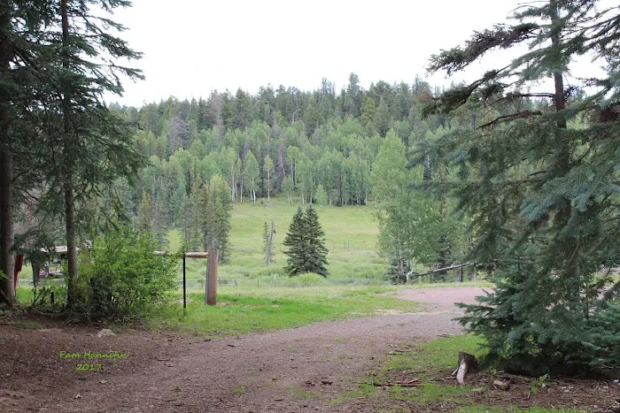 Gabaldon Horse Camp Picture 3