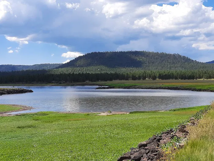 Benny Creek Campground Picture 1