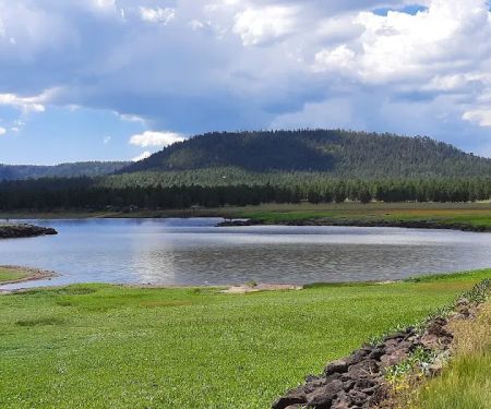 Benny Creek Campground