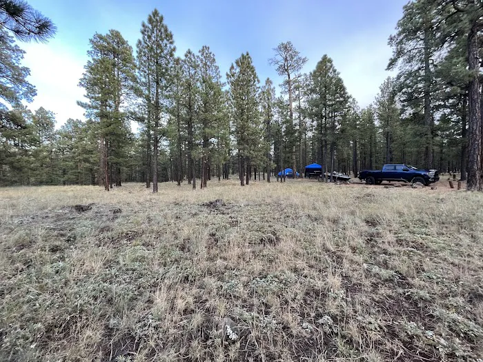 Benny Creek Campground Picture 2