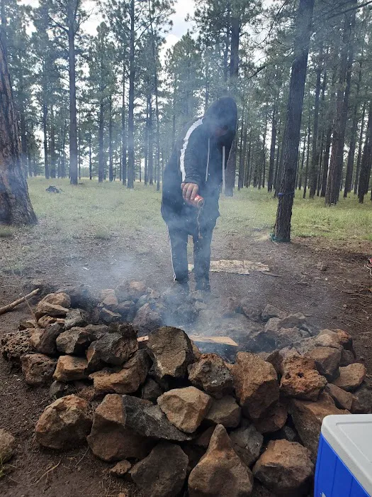 Benny Creek Campground Picture 6
