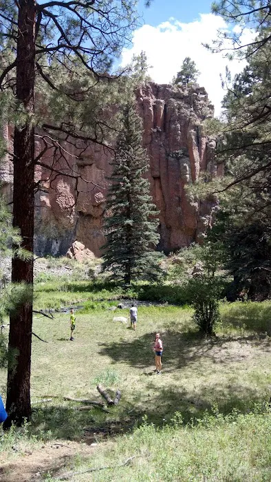 Benny Creek Campground Picture 9