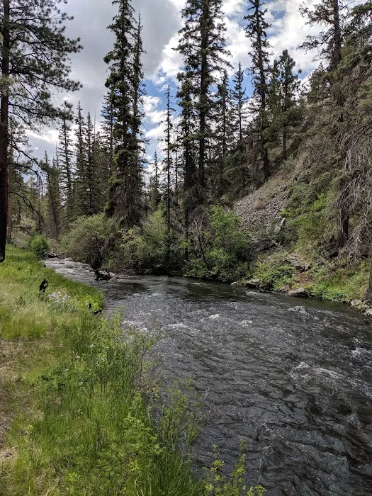Benny Creek Campground Picture 8