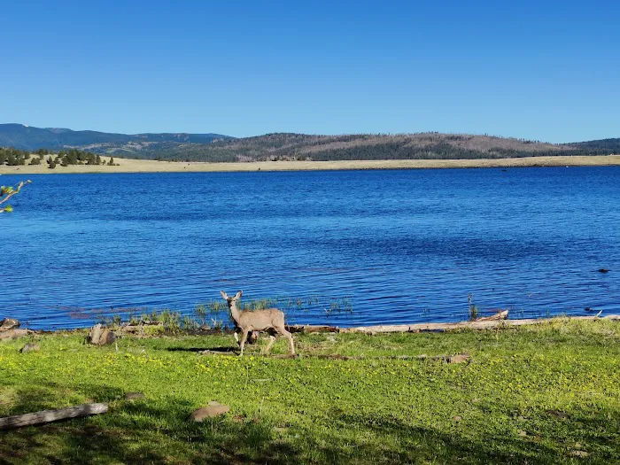 Brookchar Campground Picture 2