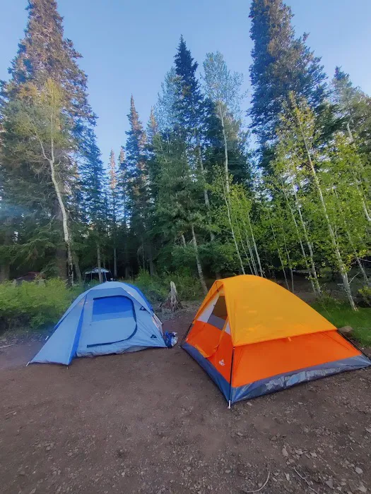 Brookchar Campground Picture 5