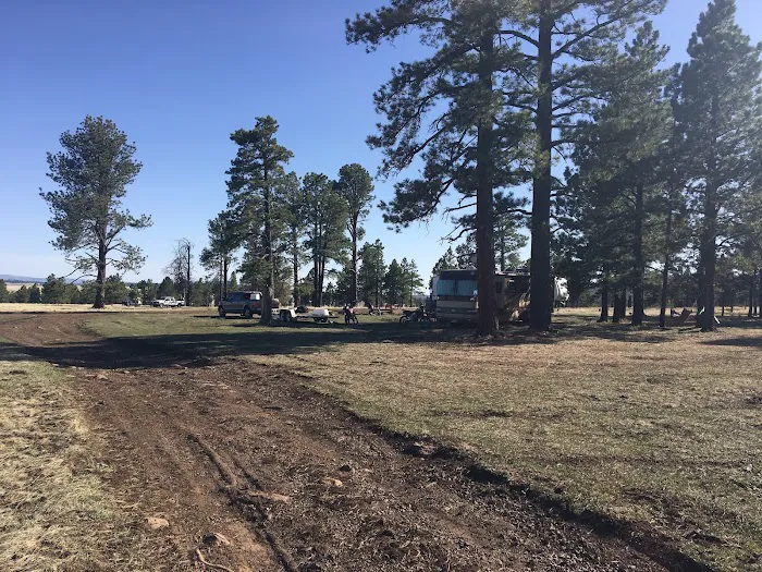 Brookchar Campground Picture 8