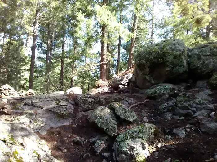 CUTTHROAT Picture 9